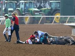 Image result for Race Horse Deaths