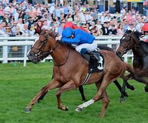 Image result for The Best Horse Racing Tips