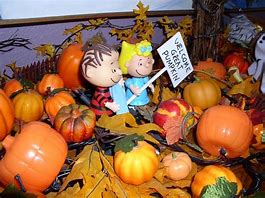 Image result for Great Pumpkin Patcj