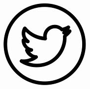 Image result for White Transparent Twitter Logo Icon