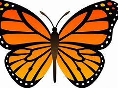 Image result for Cartoon Butterfly Clip Art Black and White