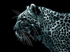 Image result for Cool Black Wallpapers for PC