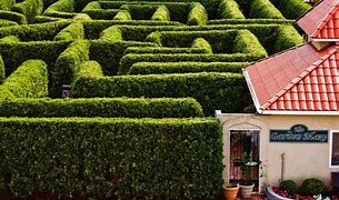 Image result for Garden Maze