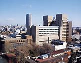 Image result for University of Tokyo Hospital Letter