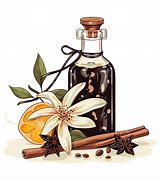 Image result for Vanilla Extract Clip Art Free