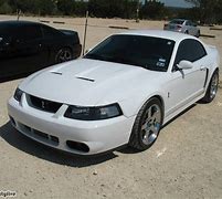 Image result for White Terminator Mustang