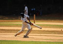 Image result for Cricket Bowling Action