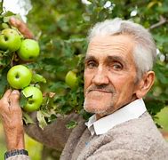 Image result for Buy Apple Trees