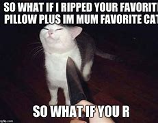 Image result for Smug Cat Meme