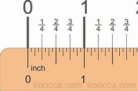 Image result for Size of Philid in Inches