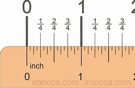 Image result for How Long Is Two Inches