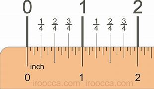 Image result for 4'11 in Inches