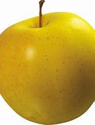 Image result for Yellow Apple Fruit