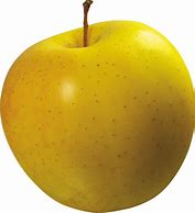 Image result for Manzana ClipArt