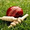 Image result for Cricket Bat Ball Pic
