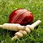 Image result for Who Draw a Cricket Bat