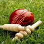 Image result for Cricket Match Bat