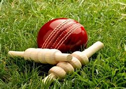 Image result for Cricket Bat Ball