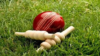 Image result for A Cricket Bat