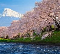 Image result for Mount Fuji Milky Way