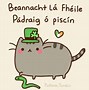 Image result for Pusheen Dress Up