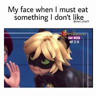 Image result for Miraculous Ladybug Chat Noir Funny Memes