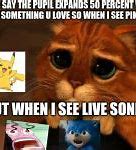 Image result for Sorry Meme Puss in Boots
