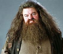 Image result for Guy with Long Beard in Harry Potter