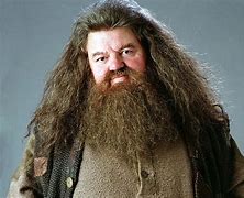 Image result for Harry Potter Beard