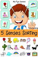 Image result for My Five Senses Sorting Game Printable