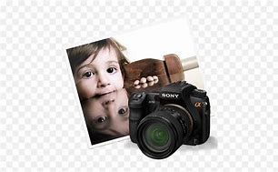 Image result for iPhoto Icon