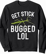 Image result for Stick Insect Meme