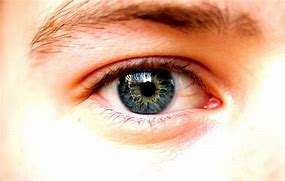 Image result for Purple Eye Contacts