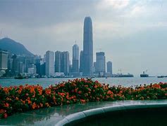 Image result for SFC Hong Kong