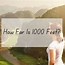 Image result for 1000 Feet Tall