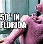 Image result for Who Started the Florida Meme