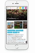 Image result for New Version of iPhone Wiki