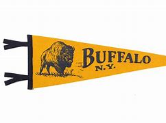 Image result for Custom Pennant Flags