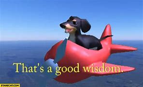 Image result for Flying Dog Meme