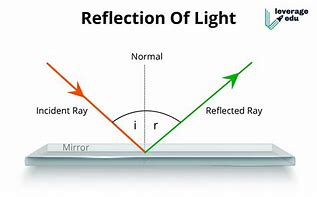 Image result for Reflected Light Ray