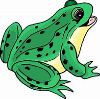 Image result for Green Frog Clip Art Funny