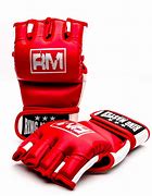 Image result for MMA Photography