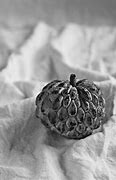 Image result for Mites in Custard Apple