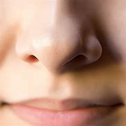 Image result for Nose and Mouth Side View