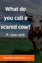 Image result for Cow Jokes Dirty