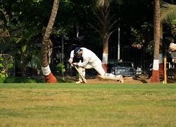 Image result for How to Swing a Cricket Ball Book
