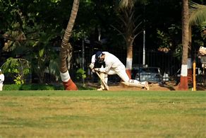 Image result for Cricket Player Outline