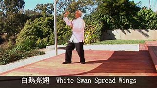 Image result for Wu Hao Tai Chi DVD