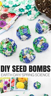 Image result for Seed Bomb Instructions Printable