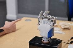Image result for Robotic Hand Kit
